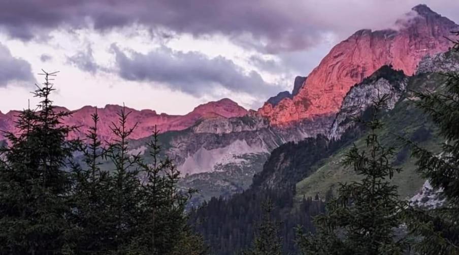 شقة Alpenperle Isenthal المظهر الخارجي الصورة